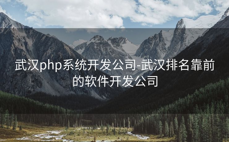 武汉php系统开发公司-武汉排名靠前的软件开发公司