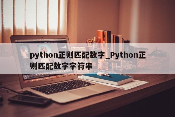 python正则匹配数字_Python正则匹配数字字符串